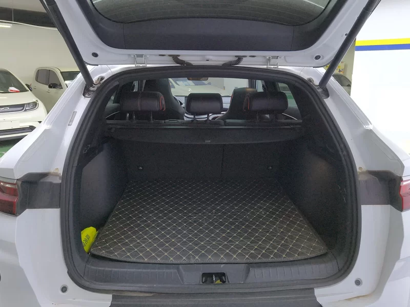 BYD Song Plus 2020 immagine di auto #21