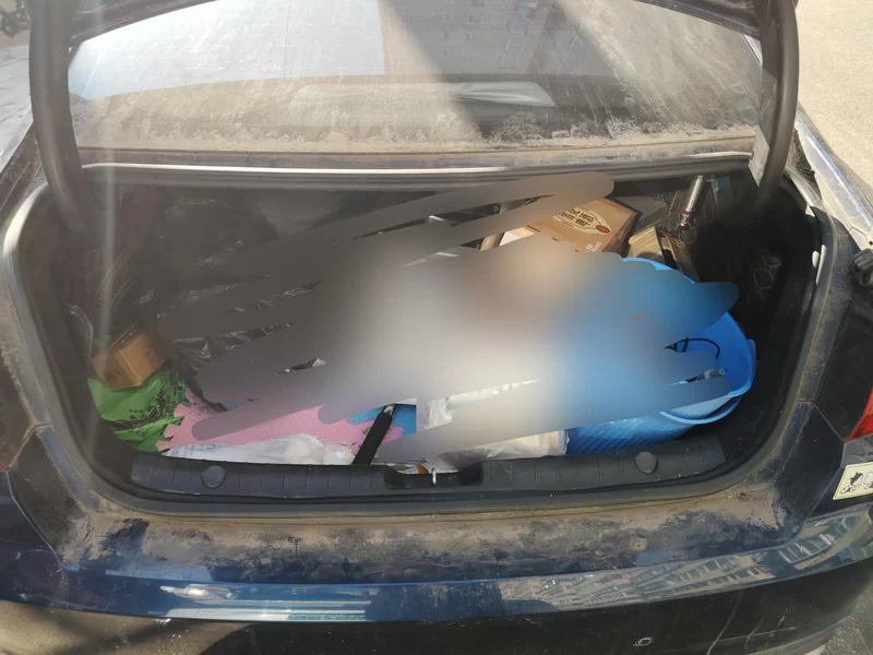 GEELY Emgrand GL 2019 #21 GEELY Emgrand GL 2019 car image #21