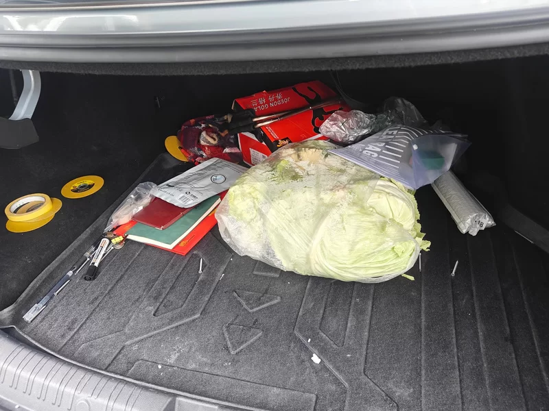 BYD Qin L 2024 #21 BYD Qin L 2024 car image #21