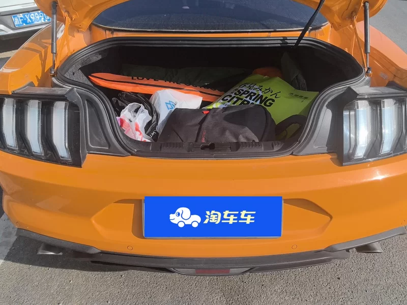 Ford Mustang 2019 car image #21