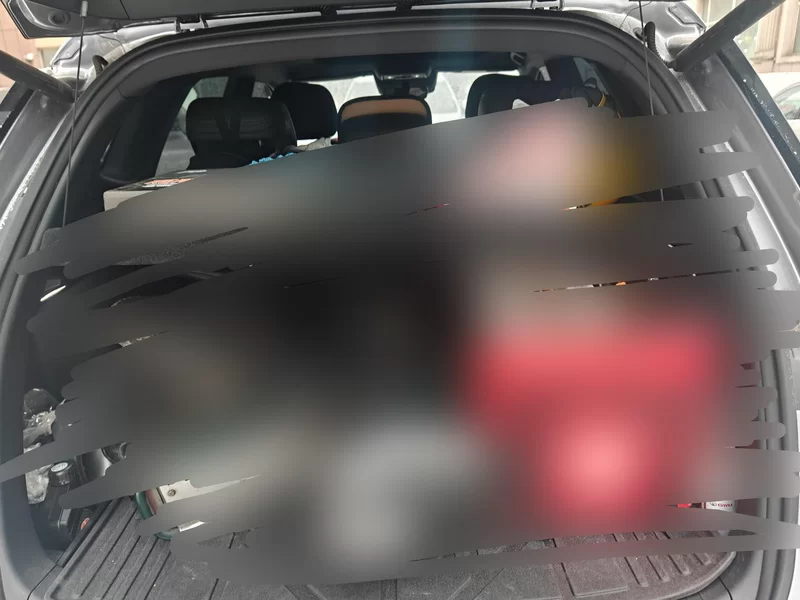 BYD Song Pro New Energy 2025 car image #21