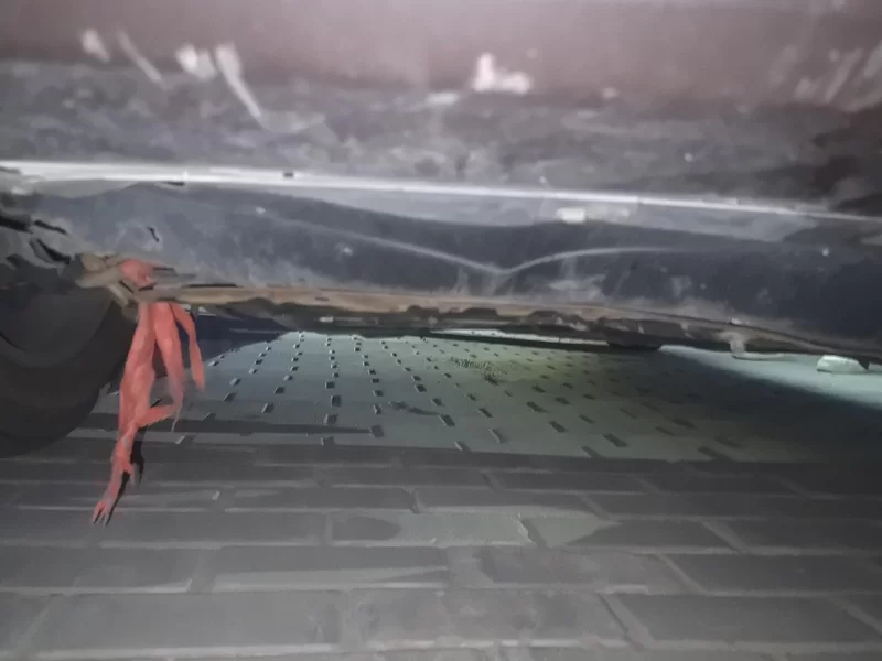 Haval M6 2020 immagine di auto #21