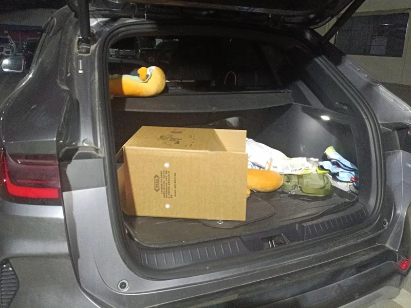 BYD Song Plus New Energy 2024 car image #21