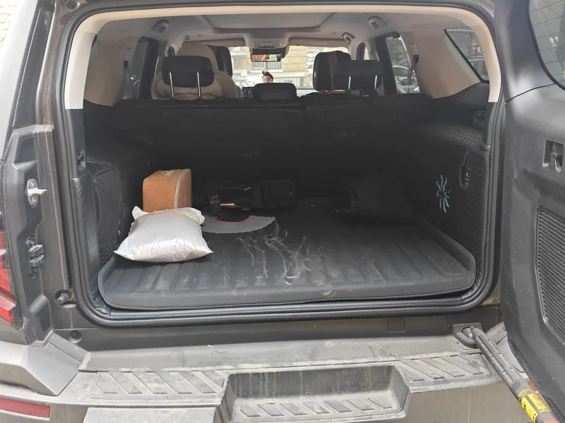 Tank 2025 #21 Tank 2025 car image #21