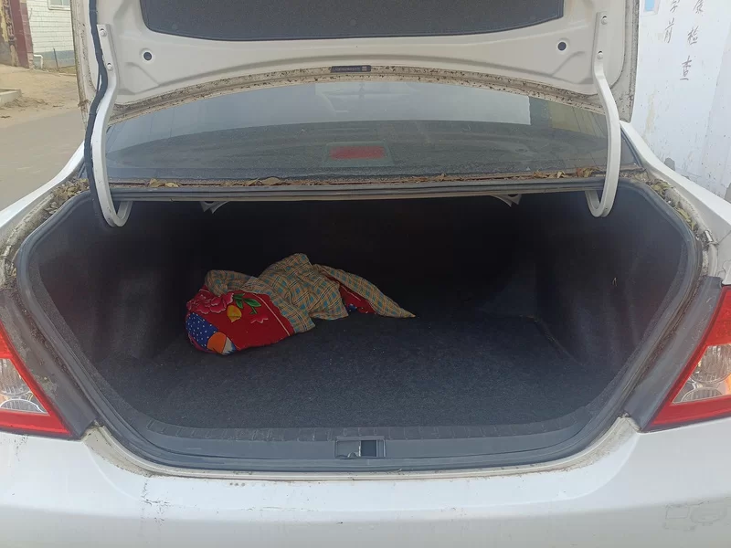 BYD F3 2020 car image #21