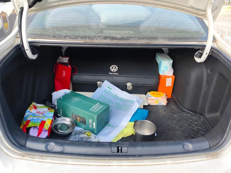 大众 朗逸 2020 汽车图片 #21