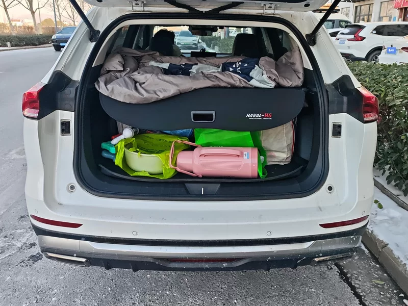 Haval H6 2024 car image #21