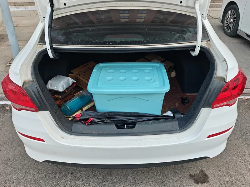 Chevrolet Cavalier 2017 car image #21