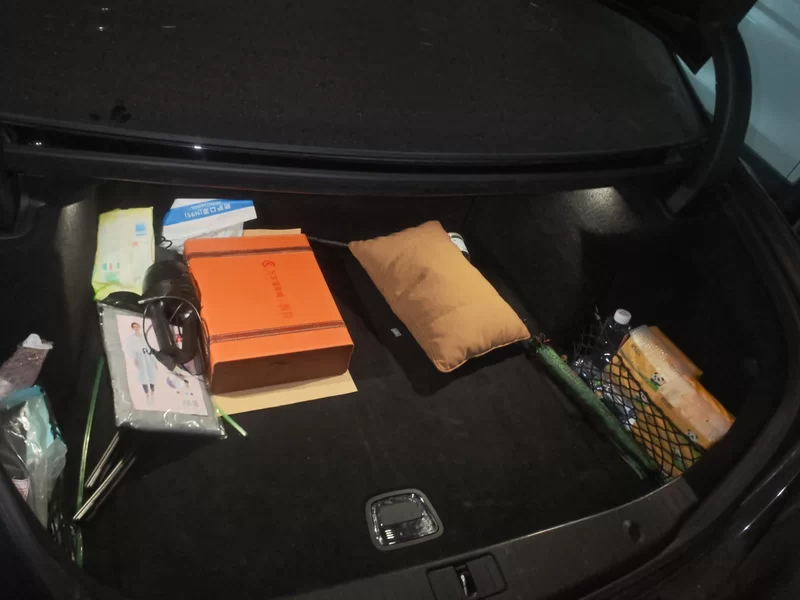 Mercedes-Benz Maybach S Class 2020 car image #21