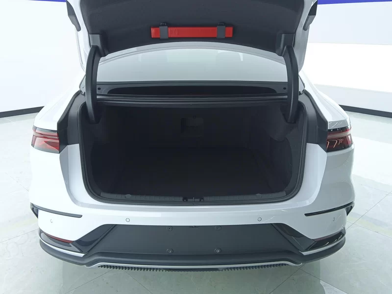 BYD 2024 car image #21