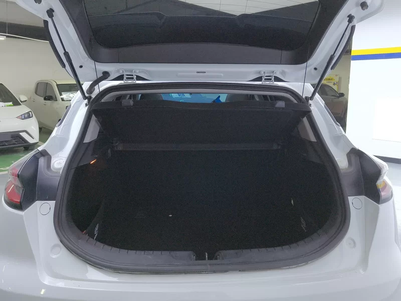 GEELY Emgrand S 2021 immagine di auto #21