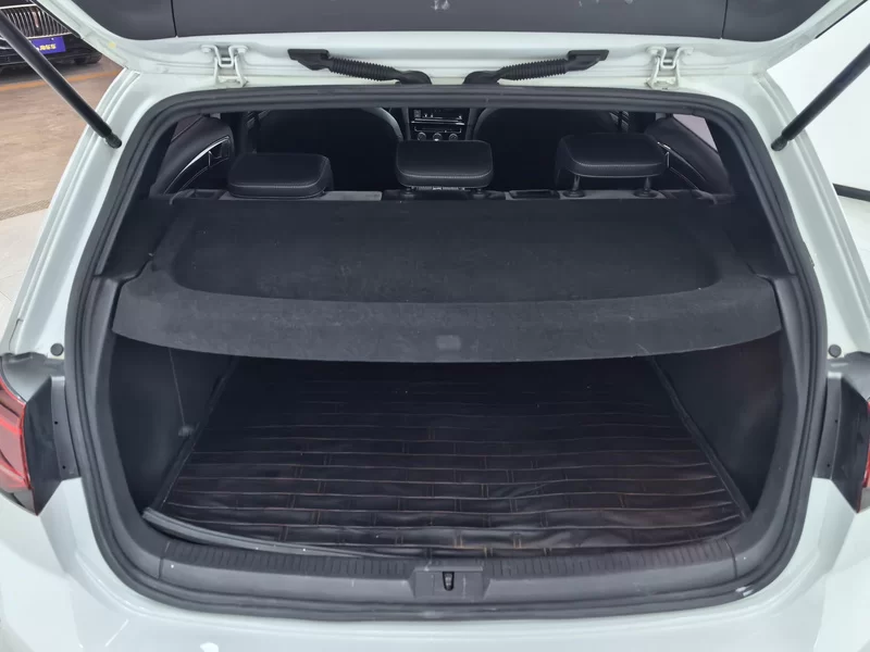 Volkswagen Golf 2020 car image #21