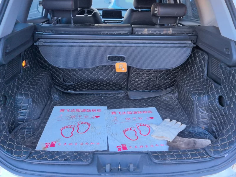 Chery Tiggo 7 2020 car image #21