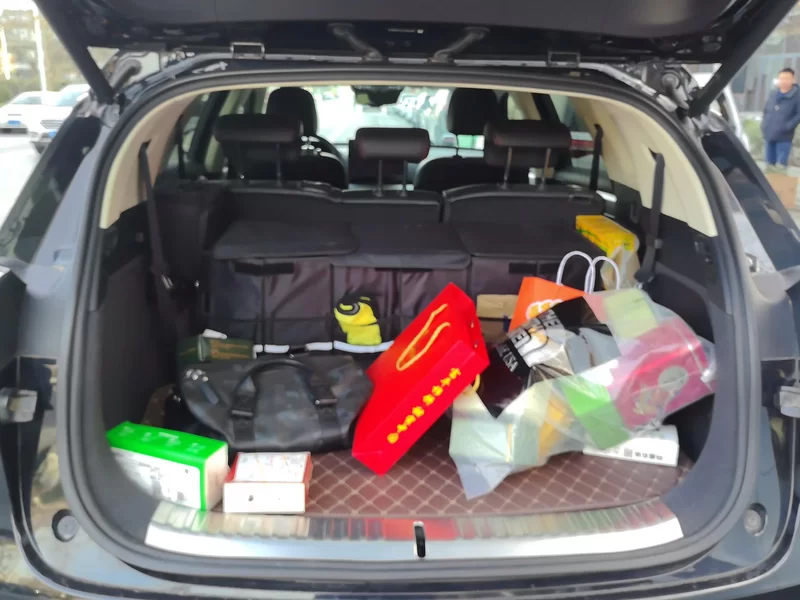 BYD Tang New Energy 2018 immagine di auto #21