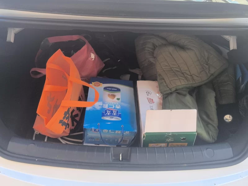 BYD Destroyer 05 2024 imagen de coche #21