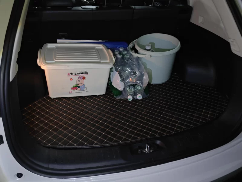 Changan CS55 2019 immagine di auto #21