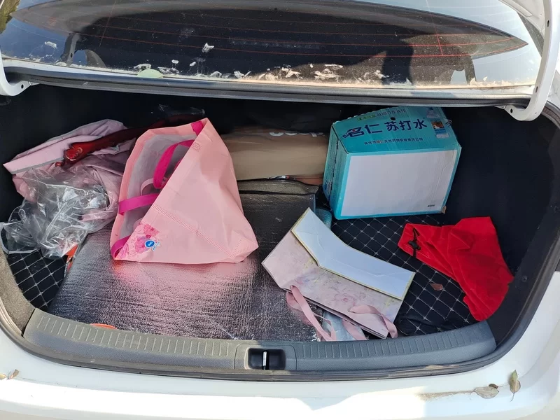 Toyota Allion 2022 immagine di auto #21