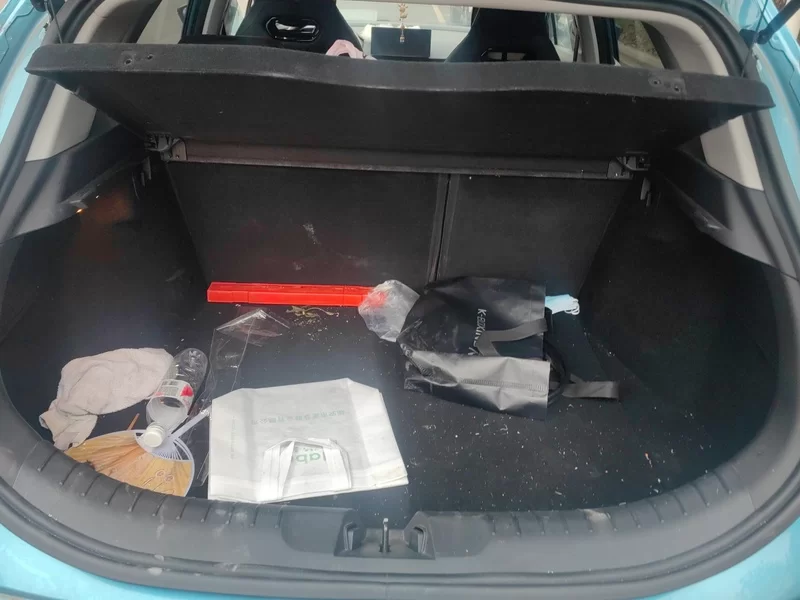 GEELY Emgrand S 2021 car image #21