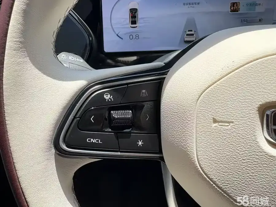 GEELY Monjaro 2021 immagine di auto #21