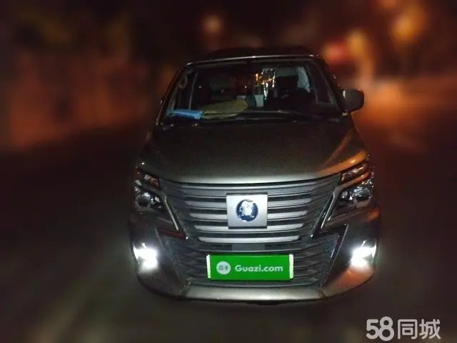 Forthing Lingzhi EV 2023 car image #21