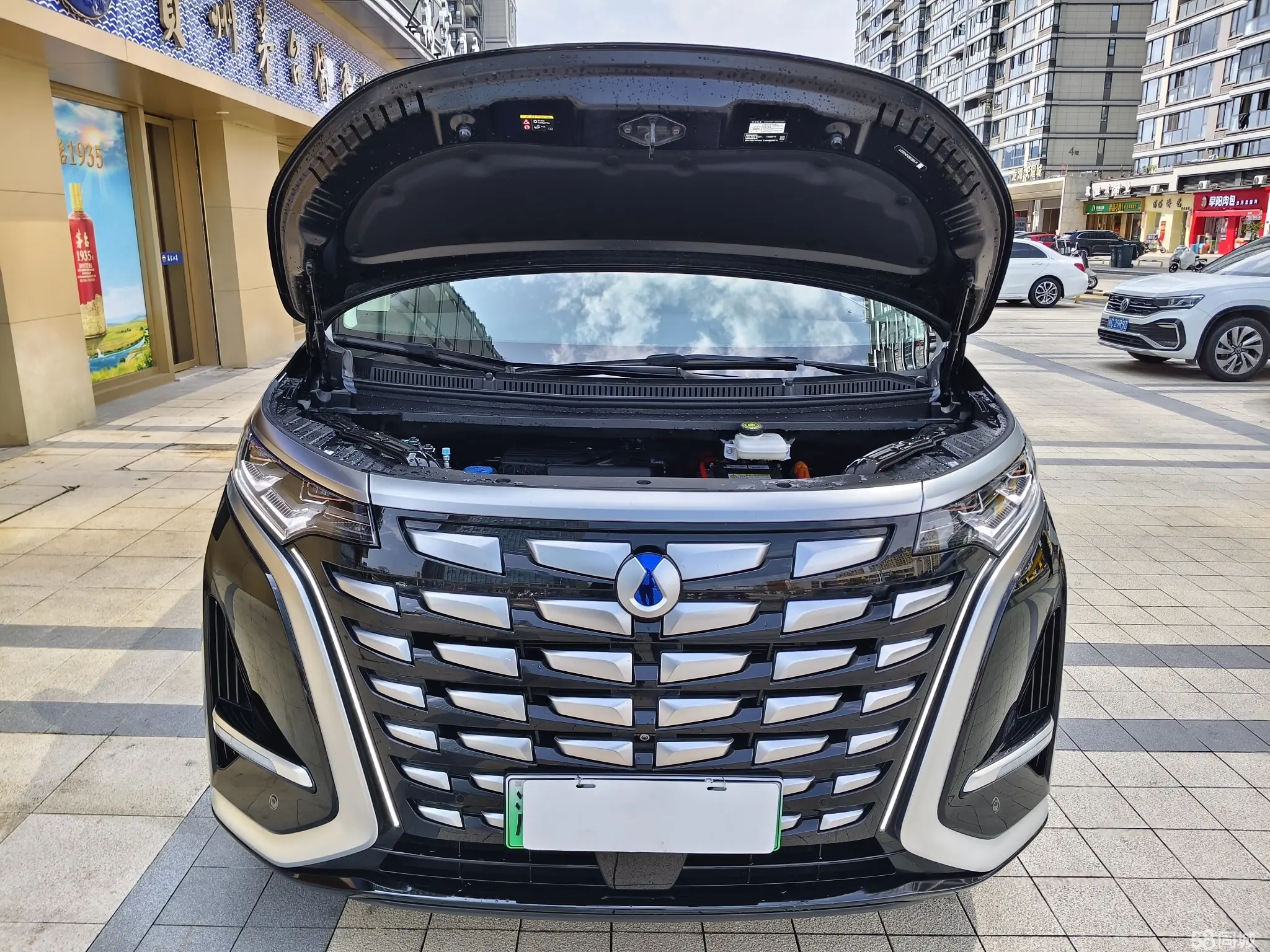 Denza D9 2024 immagine di auto #21