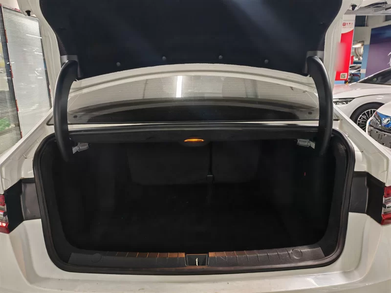 BYD Qin Pro 2020 car image #21