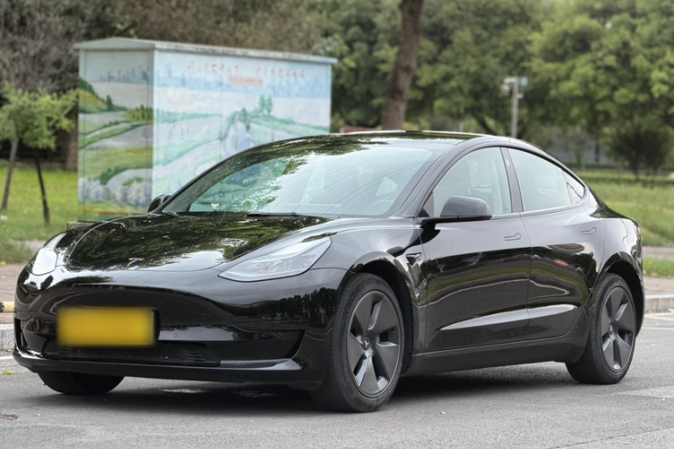 Tesla Model 3 2022 #2 Tesla Model 3 2022 car image #2