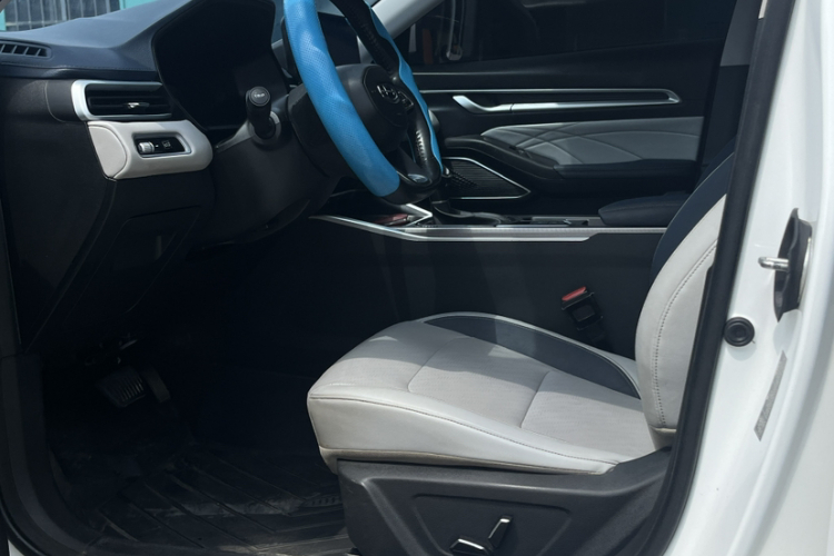 GEELY Emgrand 2022 immagine di auto #22