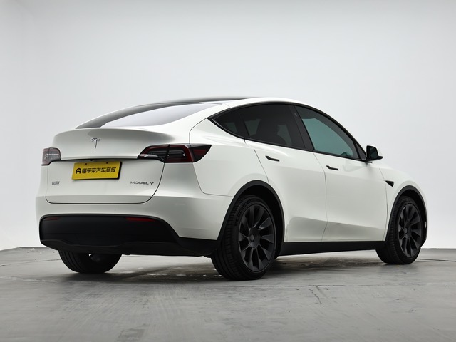 Tesla Model Y 2021 car image #9