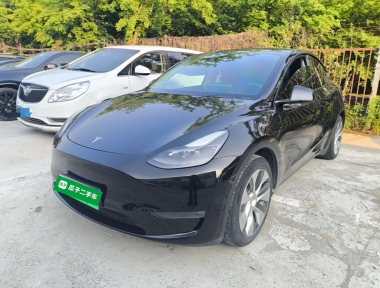 Tesla Model Y 2021 Tesla Model Y 2021 car image