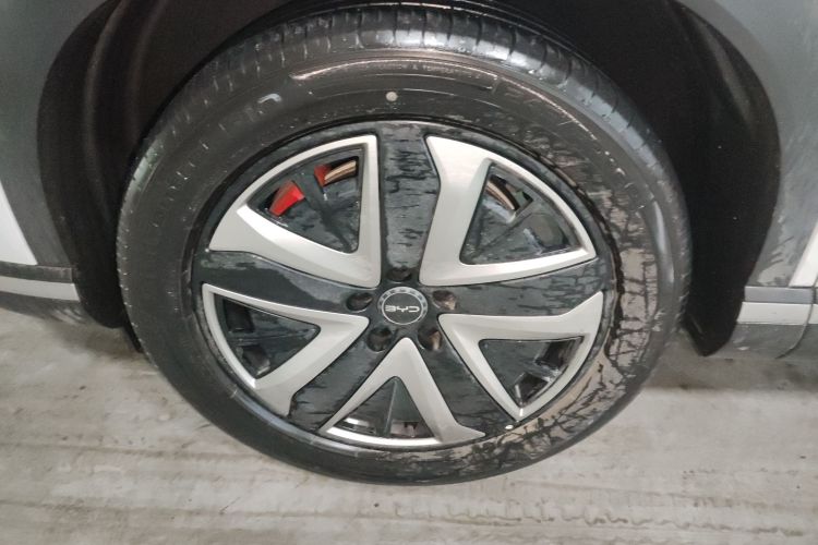 BYD Sea Lion 07 DM-i 2025 car image #9