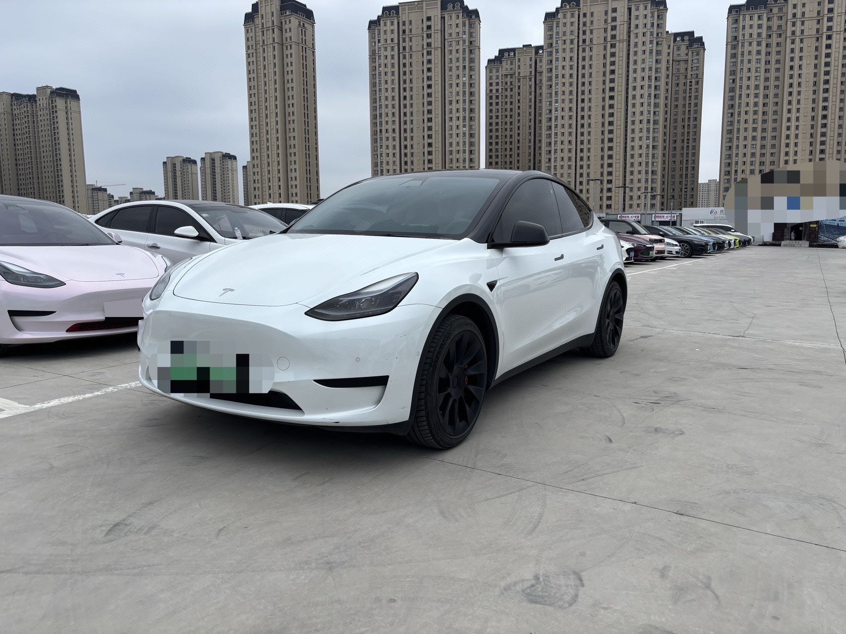 Tesla Model Y 2023 Tesla Model Y 2023 car image