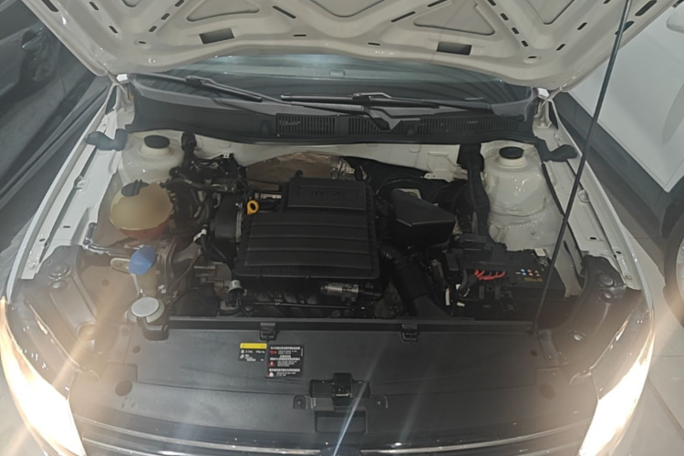 Volkswagen Lavida 2020 car image #20
