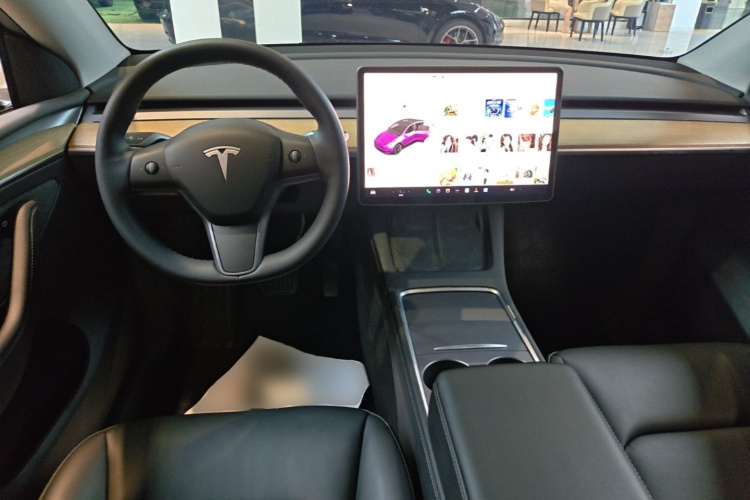 Tesla Model Y 2022 car image #10