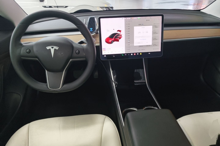 Tesla Model 3 2020 car image #10