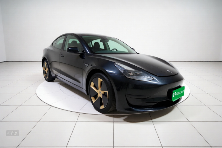 Tesla Model 3 2021 #4 Tesla Model 3 2021 car image #4