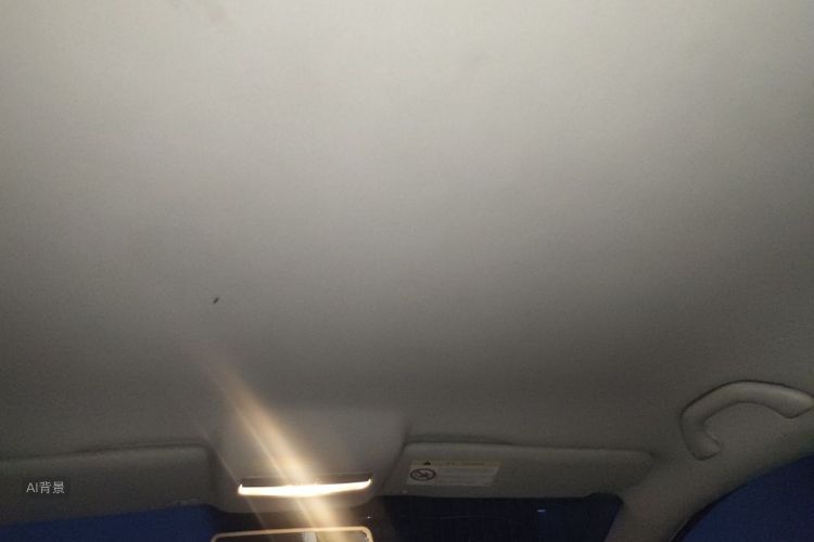 Volkswagen Polo 2015 car image #20