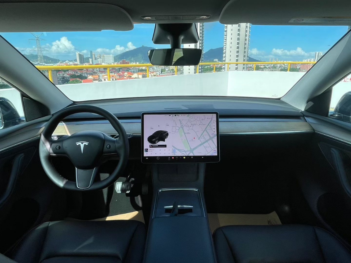 Tesla Model Y 2021 car image #6