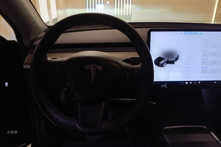 Tesla Model Y 2021 car image #12