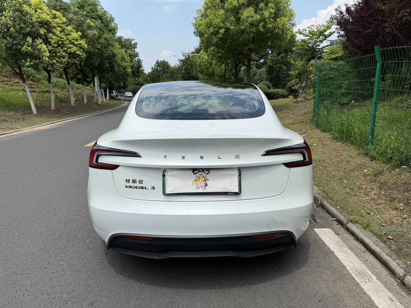 Tesla Model 3 2026 #8 Tesla Model 3 2026 immagine di auto #8