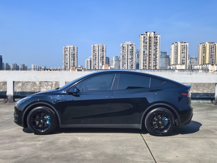 Tesla Model Y 2021 car image #5