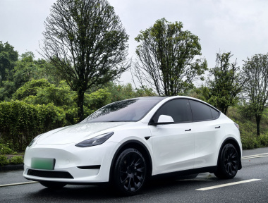 Tesla Model Y 2023 Tesla Model Y 2023 car image