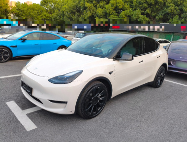 Tesla Model Y 2024 Tesla Model Y 2024 car image