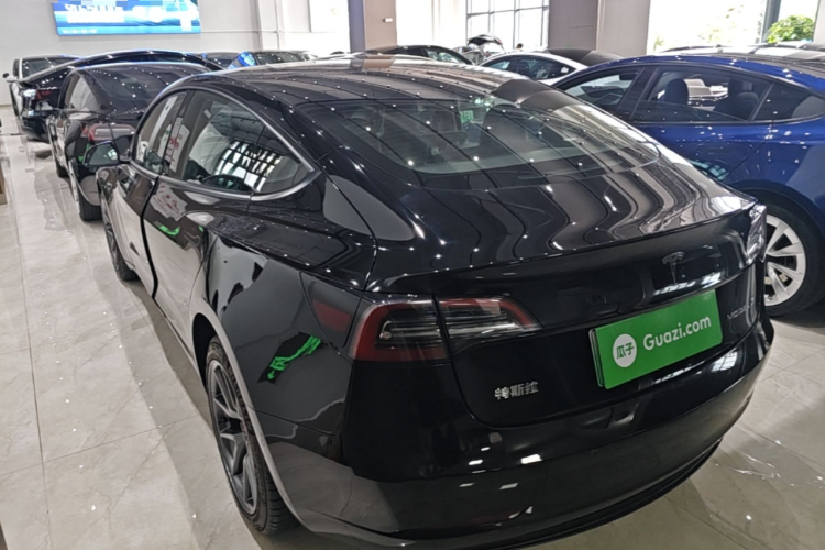 Tesla Model 3 2021 #5 Tesla Model 3 2021 car image #5