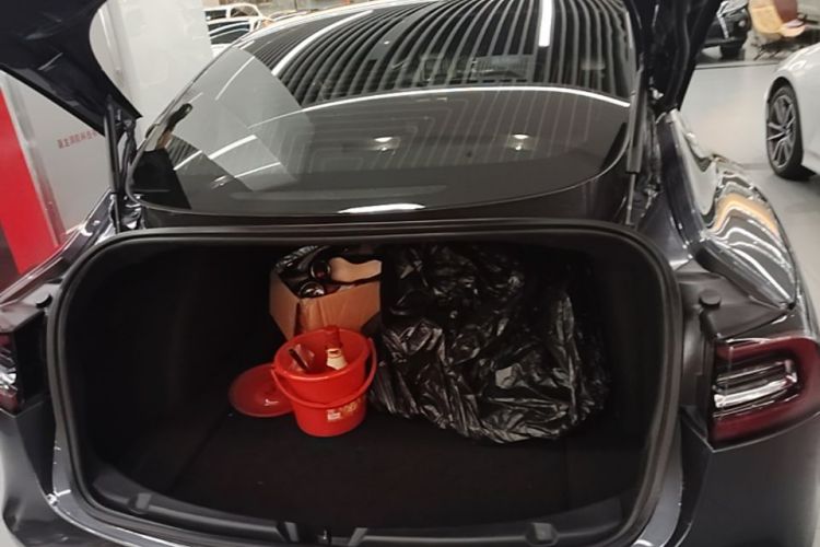 Tesla Model 3 2020 car image #19