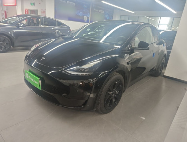 Tesla Model Y 2022 car image 