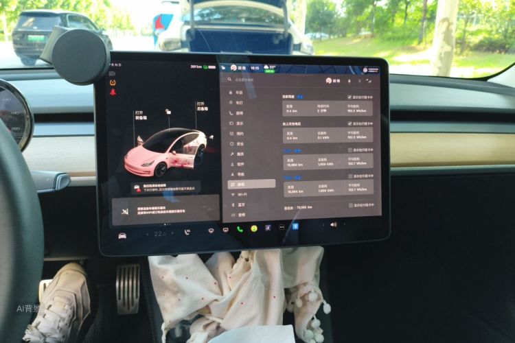 Tesla Model 3 2021 car image #15