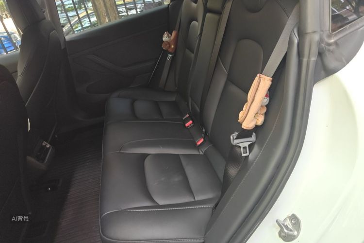 Tesla Model 3 2022 car image #19