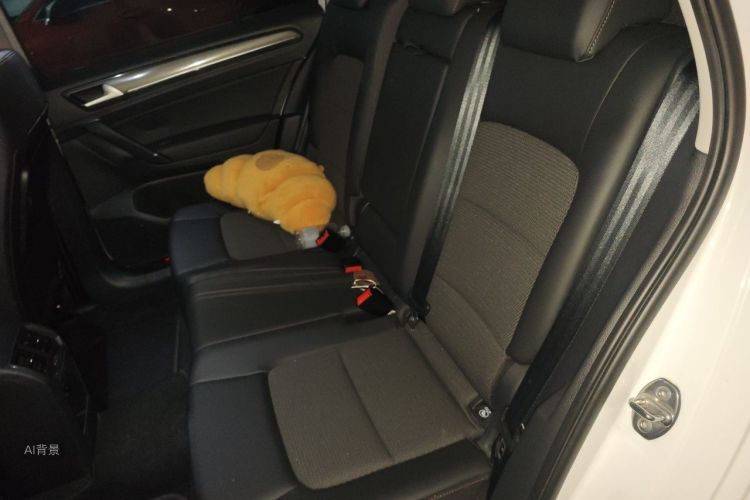 Volkswagen Golf 2017 car image #19