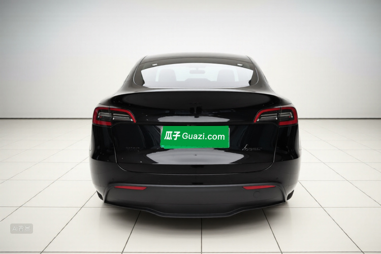 Tesla Model Y 2021 car image #6